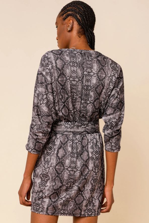 9030599 - Vestido Cobra Glam CINZA